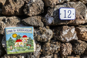 Dammuso i Pini di Kaddiuggia (CIR19081014C224053) & Dammuso di Mena (CIR 19081014C224052